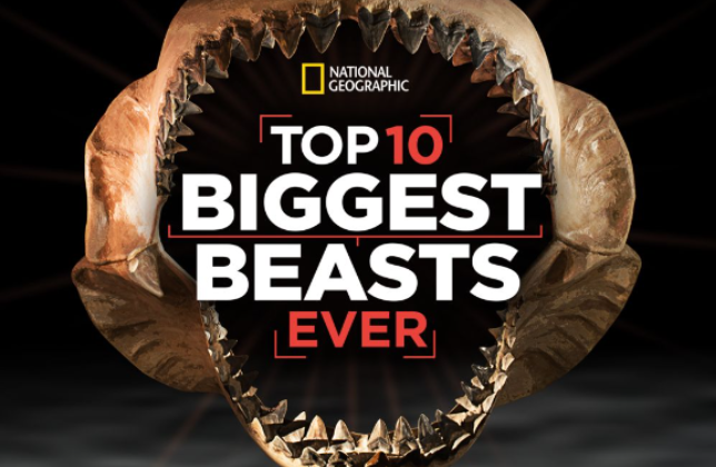 link to imdb for Top 10 Biggest Beast tv programme