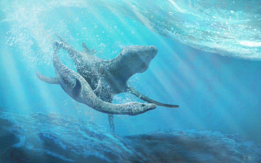 Swimming Through Time