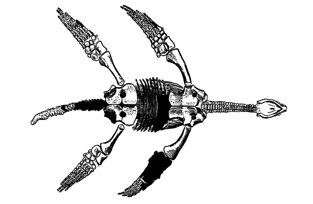 link to the Journal of Ship Production and Design