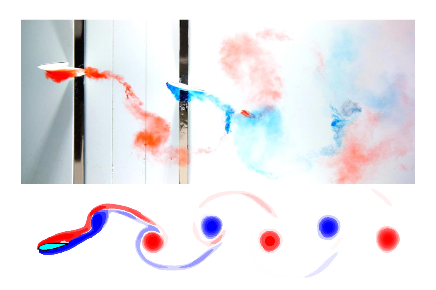 Fluid Mechanics for Palaeontologists