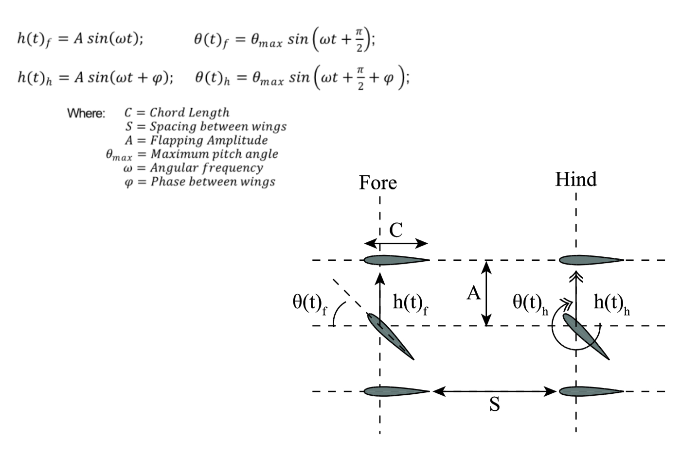 Fluid Mechanics for Palaeontologists
