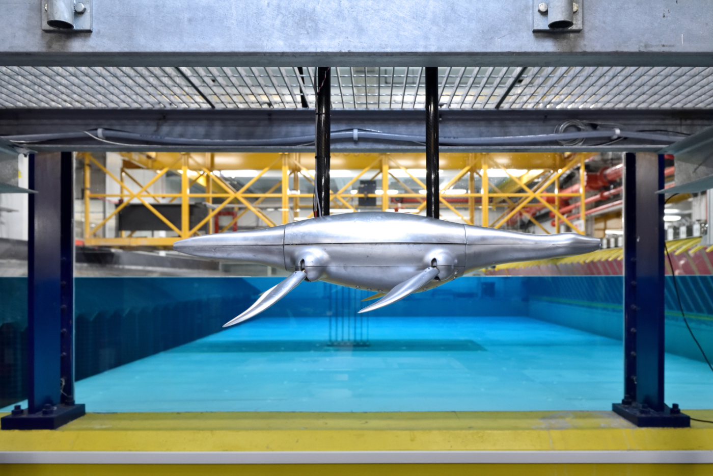 Hydrodynamics of plesiosaurs